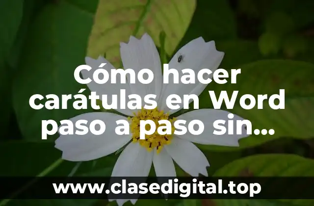 Cómo hacer carátulas en Word paso a paso sin YouTube