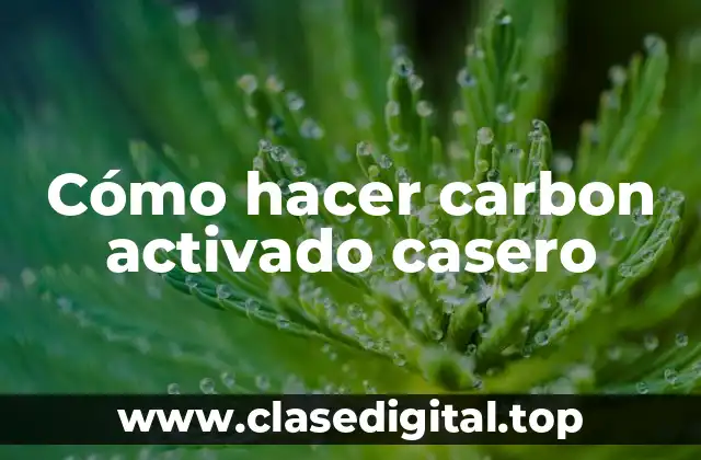 Cómo hacer carbon activado casero