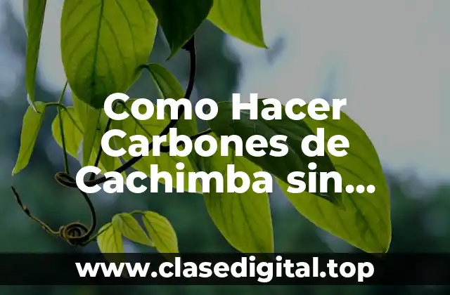 Como Hacer Carbones de Cachimba sin Hornillo
