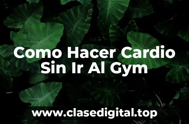 Como Hacer Cardio Sin Ir Al Gym