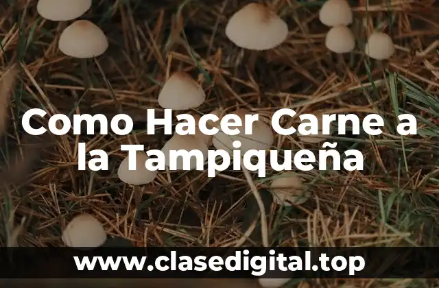 ¿Qué es la Carne a la Tampiqueña?