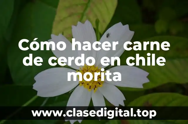 Cómo hacer carne de cerdo en chile morita