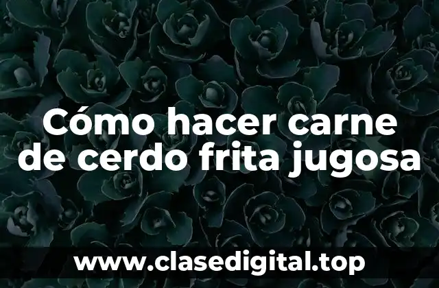 ¿Qué es la carne de cerdo frita jugosa?