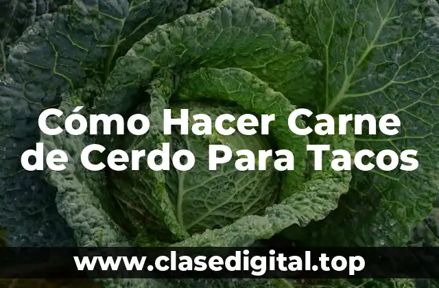 Cómo Hacer Carne de Cerdo Para Tacos