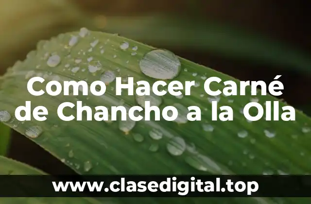 ¿Qué es el Carné de Chancho a la Olla?