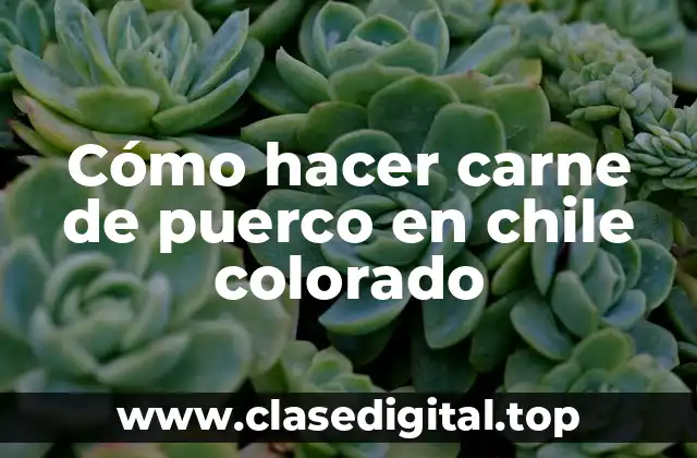 Cómo hacer carne de puerco en chile colorado