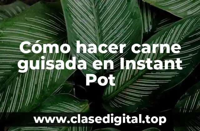 Cómo hacer carne guisada en Instant Pot