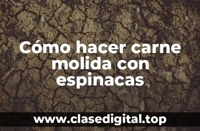 ¿Qué es la carne molida con espinacas y para qué se utiliza?