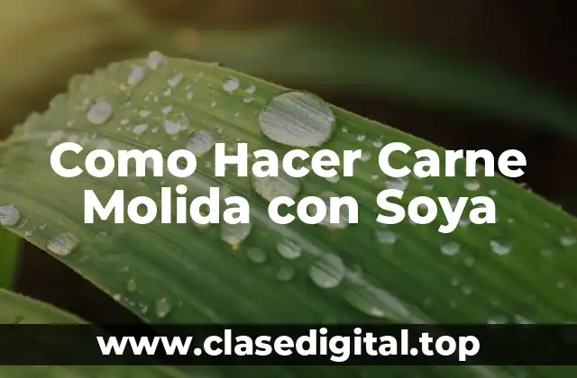 Como Hacer Carne Molida con Soya