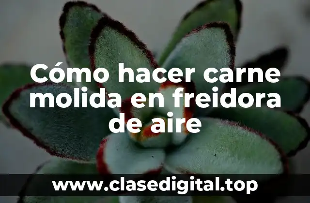 Cómo hacer carne molida en freidora de aire