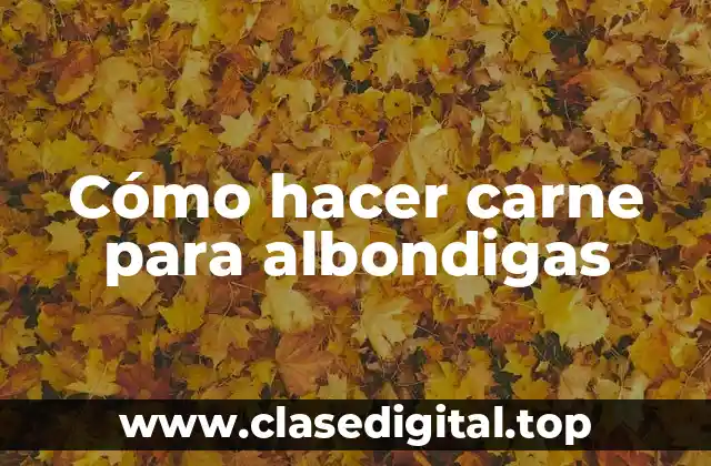 Cómo hacer carne para albondigas