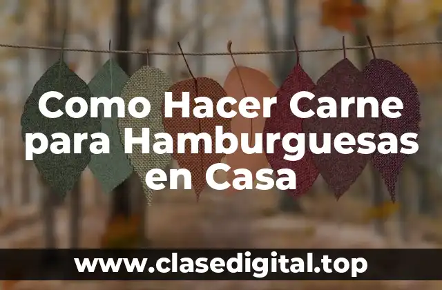 Qué es la Carne para Hamburguesas y Cómo se Utiliza