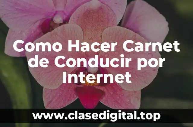 Como Hacer Carnet de Conducir por Internet