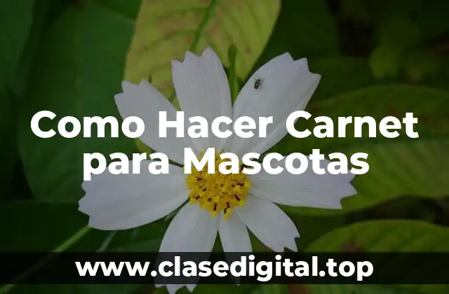 Como Hacer Carnet para Mascotas