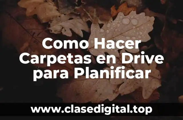 Google Drive y Carpetas: ¿Qué son y para qué sirven?
