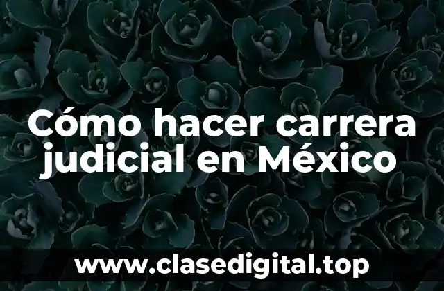 Cómo hacer carrera judicial en México