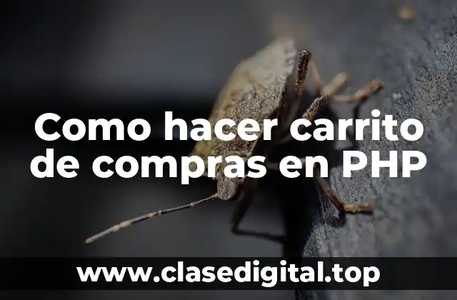 Como hacer carrito de compras en PHP