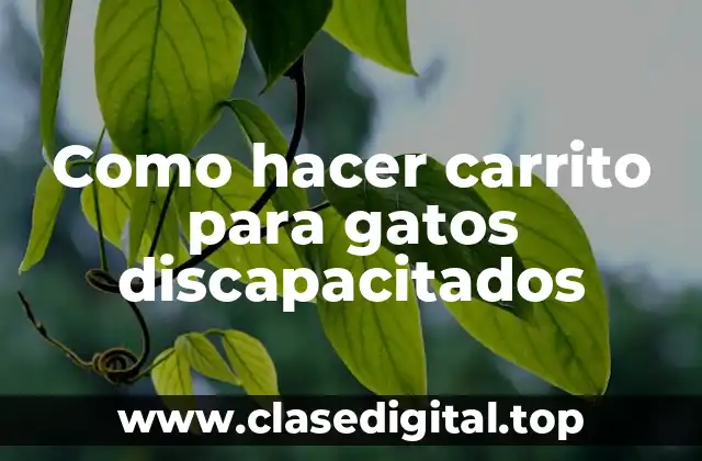 Como hacer carrito para gatos discapacitados