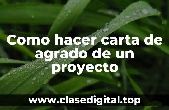 Carta de agrado de un proyecto