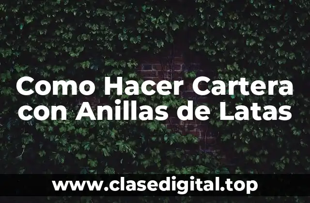 Como Hacer Cartera con Anillas de Latas