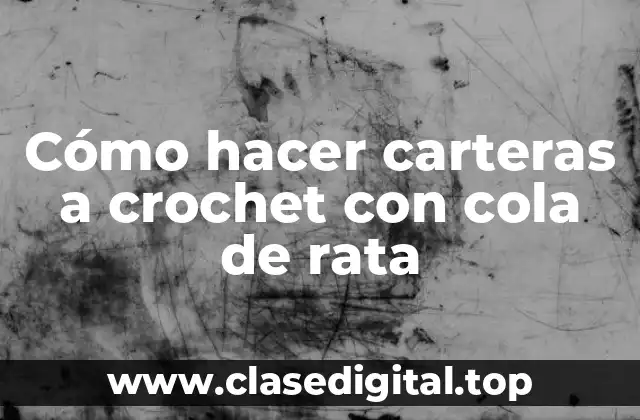 Cómo hacer carteras a crochet con cola de rata