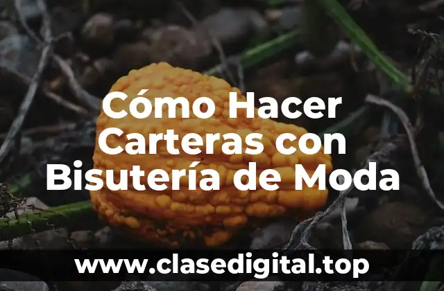 Cómo Hacer Carteras con Bisutería de Moda