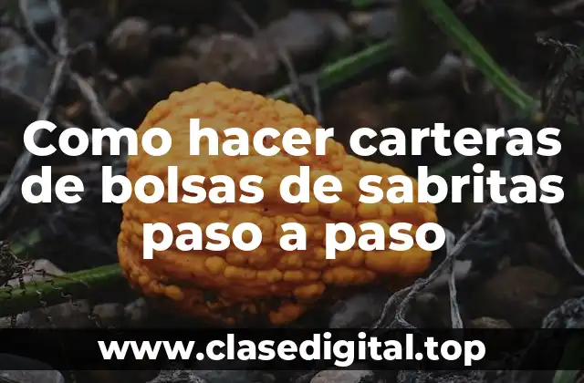 Como hacer carteras de bolsas de sabritas paso a paso