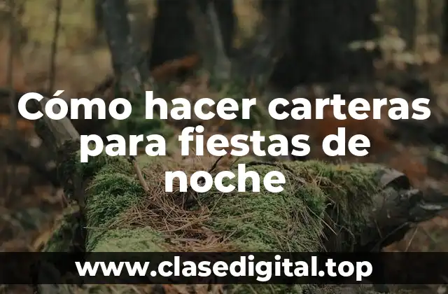 Cómo hacer carteras para fiestas de noche