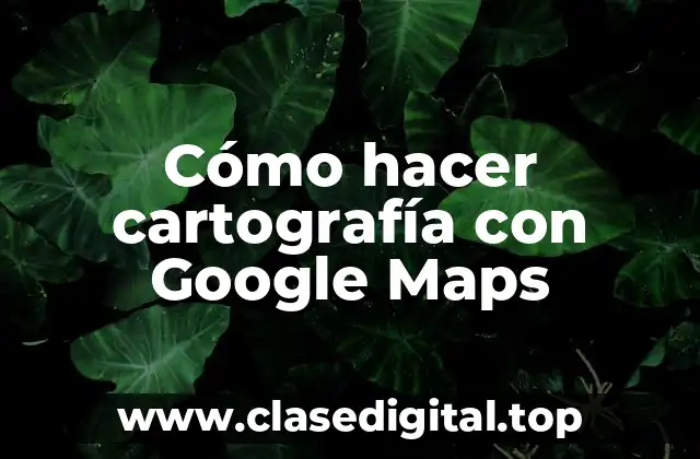 Cómo hacer cartografía con Google Maps