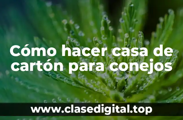 Cómo hacer casa de cartón para conejos