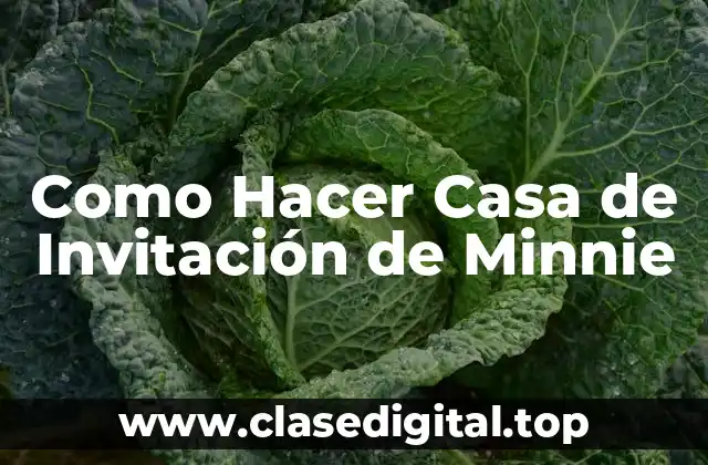 ¿Qué es una Casa de Invitación de Minnie?