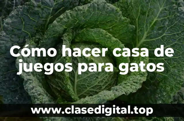Cómo hacer casa de juegos para gatos