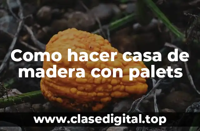 Como hacer casa de madera con palets