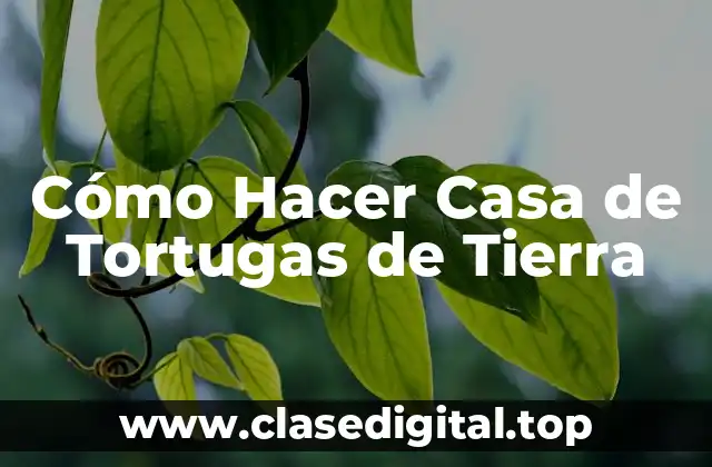 Cómo Hacer Casa de Tortugas de Tierra