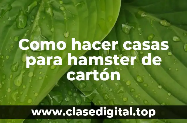 Como hacer casas para hamster de cartón