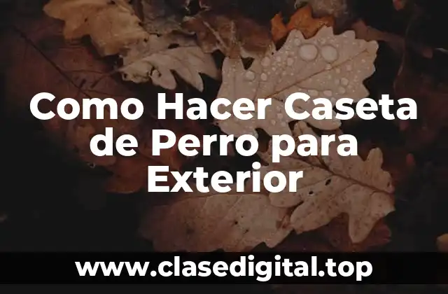 Como Hacer Caseta de Perro para Exterior