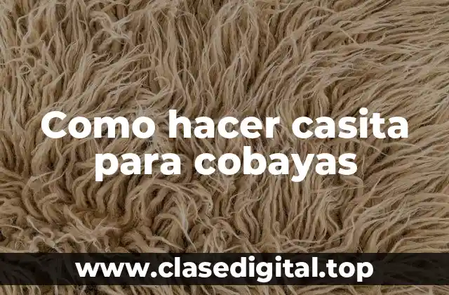 Como hacer casita para cobayas