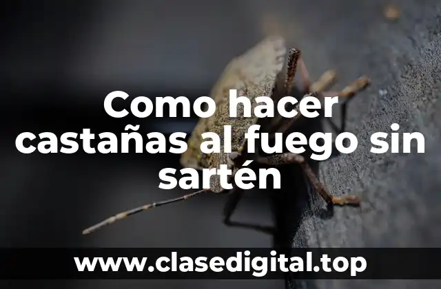 Como hacer castañas al fuego sin sartén