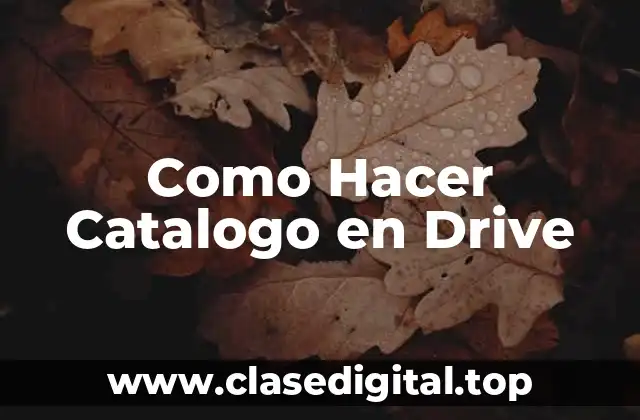 ¿Qué es un Catálogo en Google Drive?
