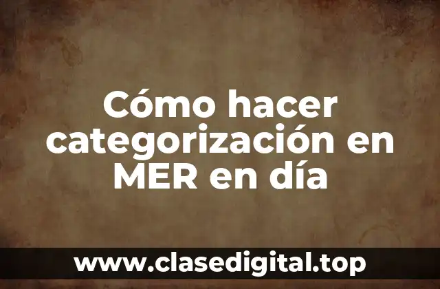 Cómo hacer categorización en MER en día