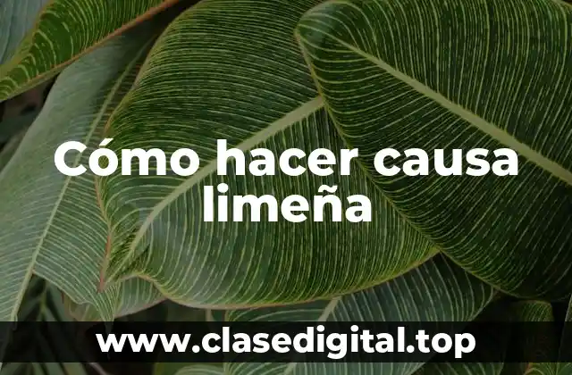 Cómo hacer causa limeña