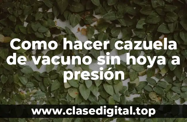Como hacer cazuela de vacuno sin hoya a presión