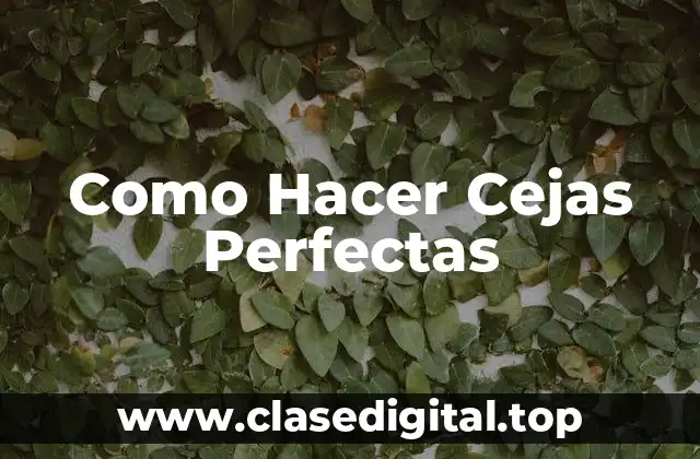 Como Hacer Cejas Perfectas