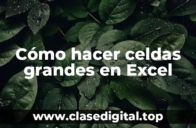 Cómo hacer celdas grandes en Excel