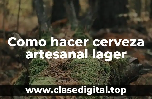 Como hacer cerveza artesanal lager
