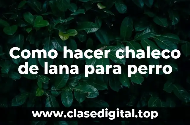 Como hacer chaleco de lana para perro