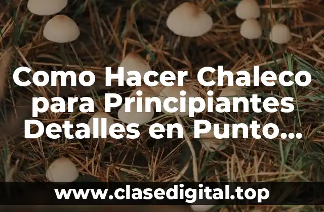 Como Hacer Chaleco para Principiantes Detalles en Punto Araña