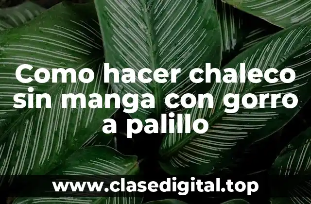 Como hacer chaleco sin manga con gorro a palillo