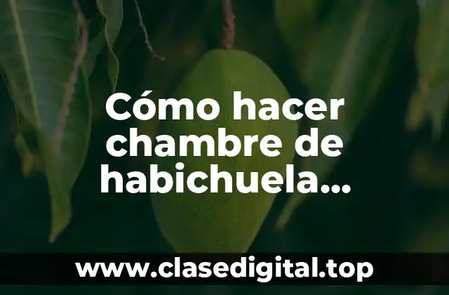 Cómo hacer chambre de habichuela dominicano
