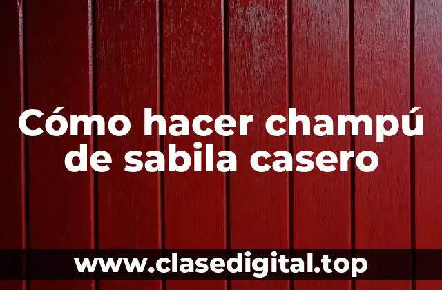 ¿Qué es el champú de sabila casero y para qué sirve?